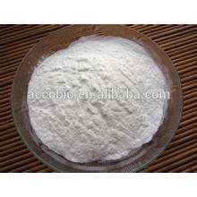 High Purity Food grade Acetyl L-Carnitine